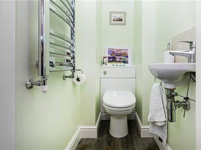 Picture 15